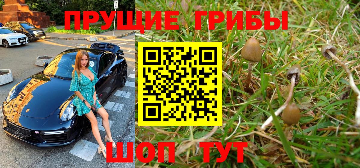 Псилоцибиновые грибы MAGIC MUSHROOMS Дивногорск